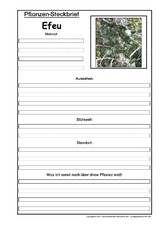 Pflanzensteckbrief-Efeu.pdf